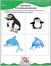 Hayvanlar ve Yavruları Eğitici Kartları